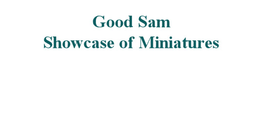 Good Sam Showcase of Miniatures